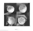 Fig. 03 - Cellulose cartridge