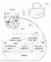 Fig. 01 - Mobile applications and methods for conveying performance information of a cardiac pacemaker