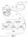 Fig. 02 - Mobile applications and methods for conveying performance information of a cardiac pacemaker