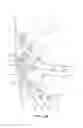Fig. 07 - Lineman harness and harness adapter systems