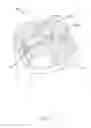 Fig. 02 - GOLF BAG SAVER