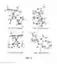 Fig. 09 - Hydrogen generation from formic acid catalyzed by a metal complex under amine-free and aqueous conditions