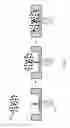 Fig. 06 - High-throughput particle capture and analysis
