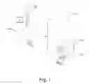 Fig. 02 - Method and device for polymerase chain reaction
