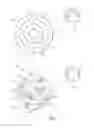 Fig. 08 - Powder gathering apparatus