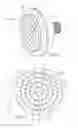 Fig. 02 - Showerhead with remote porting