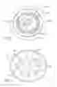 Fig. 06 - Showerhead with remote porting