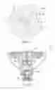 Fig. 09 - Showerhead with remote porting