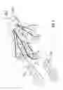 Fig. 06 - Wrist and jaw assemblies for robotic surgical systems