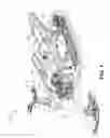 Fig. 02 - Snow vehicle