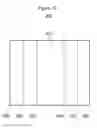 Fig. 19 - Method of producing a container precursor, especially for a single dimensionally stable foodstuff container, without folding over the container precursor