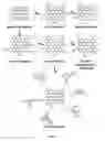Fig. 02 - FUNCTIONALISED GRAPHENE