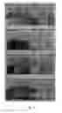 Fig. 08 - FUNCTIONALISED GRAPHENE