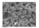 Fig. 01 - Molecular sieve, its preparation and application thereof