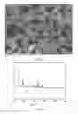 Fig. 02 - Molecular sieve, its preparation and application thereof