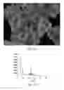Fig. 08 - Molecular sieve, its preparation and application thereof