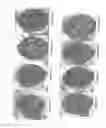 Fig. 06 - Method for Manufacturing Briquettes Containing a Calcium-Magnesium Compound and an Iron-Based Compound, and Briquettse Obtained Thereby