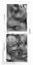 Fig. 10 - AGGLOMERATION OF FINES OF TITANIUM BEARING MATERIALS
