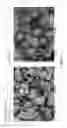 Fig. 12 - AGGLOMERATION OF FINES OF TITANIUM BEARING MATERIALS
