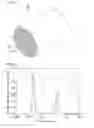 Fig. 02 - Honeycomb structure and production method for said honeycomb structure