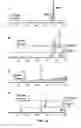 Fig. 43 - Reactive oxygen species-sensitive nitric oxide synthase inhibitors for the treatment of ischemic stroke