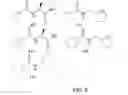 Fig. 09 - Synthetic ligands that modulate the activity of the RhlR quorum sensing receptor