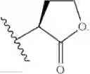 Fig. 41 - Synthetic ligands that modulate the activity of the RhlR quorum sensing receptor