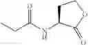 Fig. 45 - Synthetic ligands that modulate the activity of the RhlR quorum sensing receptor