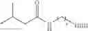 Fig. 87 - Synthetic ligands that modulate the activity of the RhlR quorum sensing receptor