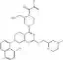 Fig. 1507 - KRas G12C inhibitors