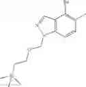 Fig. 245 - KRas G12C inhibitors