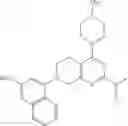 Fig. 263 - KRas G12C inhibitors