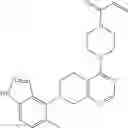 Fig. 335 - KRas G12C inhibitors