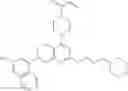 Fig. 404 - KRas G12C inhibitors