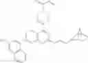Fig. 407 - KRas G12C inhibitors