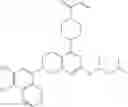 Fig. 456 - KRas G12C inhibitors