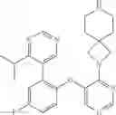 Fig. 60 - Inhibitors of the menin-MLL interaction