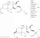 Fig. 148 - Macrocyclization reactions and intermediates and other fragments useful in the synthesis of analogs of halichondrin B
