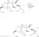 Fig. 149 - Macrocyclization reactions and intermediates and other fragments useful in the synthesis of analogs of halichondrin B