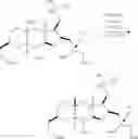 Fig. 152 - Macrocyclization reactions and intermediates and other fragments useful in the synthesis of analogs of halichondrin B