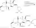 Fig. 158 - Macrocyclization reactions and intermediates and other fragments useful in the synthesis of analogs of halichondrin B