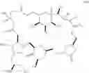 Fig. 19 - Macrocyclization reactions and intermediates and other fragments useful in the synthesis of analogs of halichondrin B