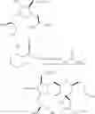 Fig. 243 - Macrocyclization reactions and intermediates and other fragments useful in the synthesis of analogs of halichondrin B