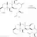 Fig. 258 - Macrocyclization reactions and intermediates and other fragments useful in the synthesis of analogs of halichondrin B