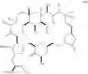 Fig. 321 - Macrocyclization reactions and intermediates and other fragments useful in the synthesis of analogs of halichondrin B