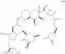 Fig. 339 - Macrocyclization reactions and intermediates and other fragments useful in the synthesis of analogs of halichondrin B