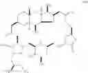 Fig. 340 - Macrocyclization reactions and intermediates and other fragments useful in the synthesis of analogs of halichondrin B