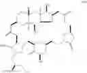 Fig. 348 - Macrocyclization reactions and intermediates and other fragments useful in the synthesis of analogs of halichondrin B