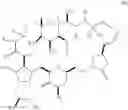 Fig. 69 - Macrocyclization reactions and intermediates and other fragments useful in the synthesis of analogs of halichondrin B