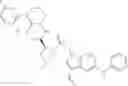 Fig. 167 - Amino compounds for treatment of complement mediated disorders